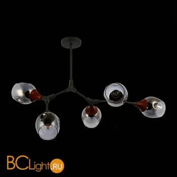 Люстра Evoluce Ciotolla SLE113402-05 - Фото 3