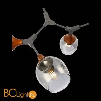 Люстра Evoluce Ciotolla SLE113402-05 - Фото 4