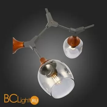 Люстра Evoluce Ciotolla SLE113402-05 - Фото 7