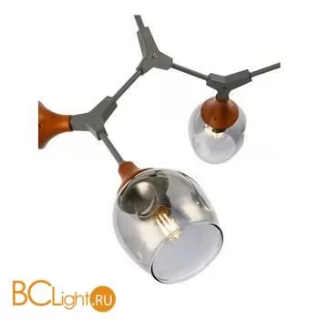 Люстра Evoluce Ciotolla SLE113402-05 - Фото 1