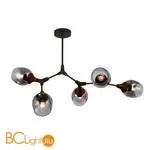 Люстра Evoluce Ciotolla SLE113402-05