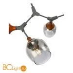 Люстра Evoluce Ciotolla SLE113402-05 - Фото 1