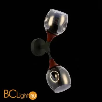 Бра Evoluce Ciotolla SLE113401-02 - Фото 4