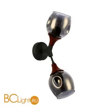 Бра Evoluce Ciotolla SLE113401-02 - Фото 0