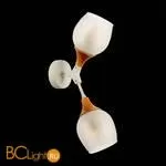 Бра Evoluce Ciotolla SLE113501-02 - Фото 4