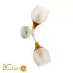 Бра Evoluce Ciotolla SLE113501-02 - Фото 0