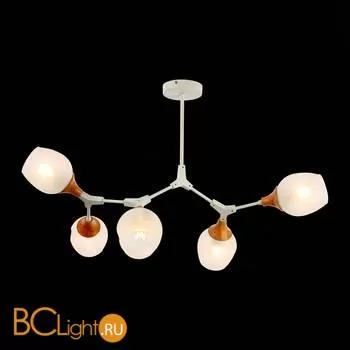 Люстра Evoluce Ciotolla SLE113502-05 - Фото 2