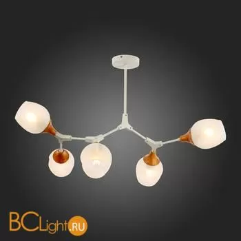 Люстра Evoluce Ciotolla SLE113502-05 - Фото 5