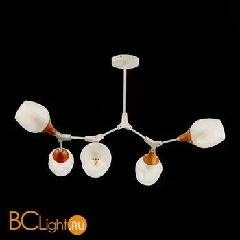 Люстра Evoluce Ciotolla SLE113502-05 - Фото 3