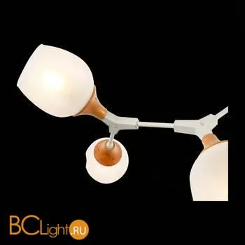 Люстра Evoluce Ciotolla SLE113502-05 - Фото 4