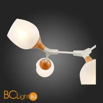 Люстра Evoluce Ciotolla SLE113502-05 - Фото 7