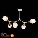 Люстра Evoluce Ciotolla SLE113502-05 - Фото 2