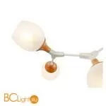 Люстра Evoluce Ciotolla SLE113502-05 - Фото 1