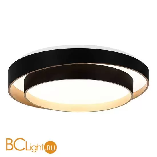 Потолочный светильник Evoluce Crosby SLE6009-402-01