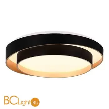 Потолочный светильник Evoluce Crosby SLE6009-402-01 - Фото 1