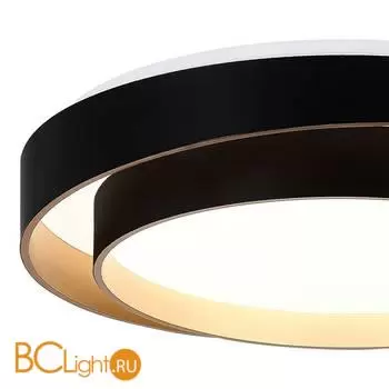 Потолочный светильник Evoluce Crosby SLE6009-402-01 - Фото 3