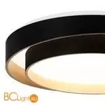 Потолочный светильник Evoluce Crosby SLE6009-402-01 - Фото 3