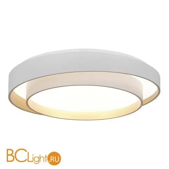 Потолочный светильник Evoluce Crosby SLE6009-502-01