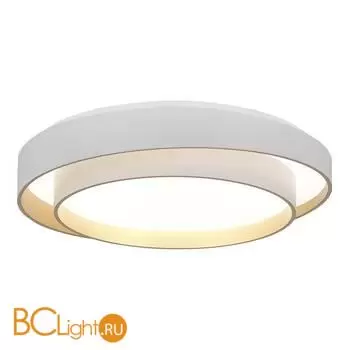 Потолочный светильник Evoluce Crosby SLE6009-502-01