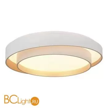 Потолочный светильник Evoluce Crosby SLE6009-502-01 - Фото 1