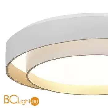 Потолочный светильник Evoluce Crosby SLE6009-502-01 - Фото 4