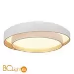 Потолочный светильник Evoluce Crosby SLE6009-502-01 - Фото 1