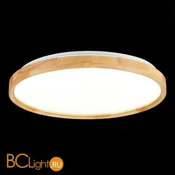 Потолочный светильник Evoluce Delia SLE201382-01 - Фото 3