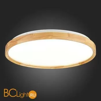 Потолочный светильник Evoluce Delia SLE201382-01 - Фото 7