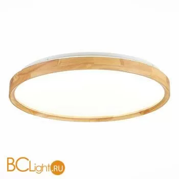 Потолочный светильник Evoluce Delia SLE201382-01