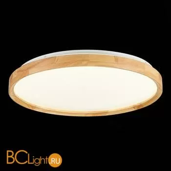 Потолочный светильник Evoluce Delia SLE201382-01 - Фото 4