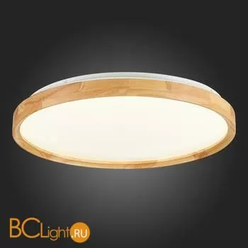 Потолочный светильник Evoluce Delia SLE201382-01 - Фото 8