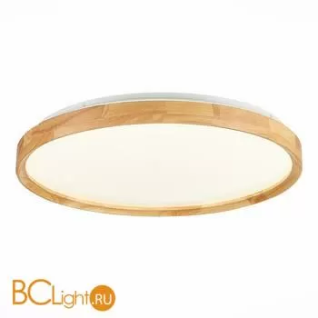 Потолочный светильник Evoluce Delia SLE201382-01 - Фото 0