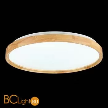 Потолочный светильник Evoluce Delia SLE201382-01 - Фото 5