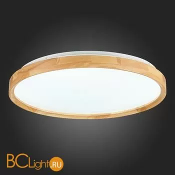 Потолочный светильник Evoluce Delia SLE201382-01 - Фото 9