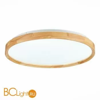 Потолочный светильник Evoluce Delia SLE201382-01 - Фото 1