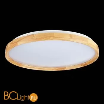 Потолочный светильник Evoluce Delia SLE201382-01 - Фото 6