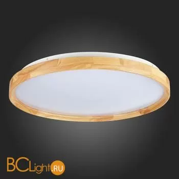 Потолочный светильник Evoluce Delia SLE201382-01 - Фото 10