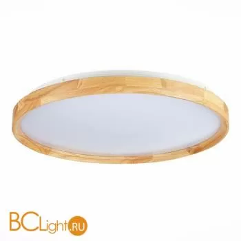 Потолочный светильник Evoluce Delia SLE201382-01 - Фото 2