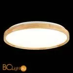 Потолочный светильник Evoluce Delia SLE201382-01 - Фото 3