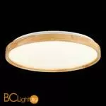 Потолочный светильник Evoluce Delia SLE201382-01 - Фото 4