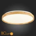 Потолочный светильник Evoluce Delia SLE201382-01 - Фото 8