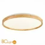 Потолочный светильник Evoluce Delia SLE201382-01 - Фото 0