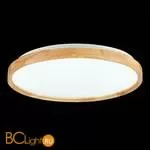 Потолочный светильник Evoluce Delia SLE201382-01 - Фото 5