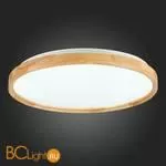 Потолочный светильник Evoluce Delia SLE201382-01 - Фото 9