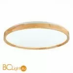 Потолочный светильник Evoluce Delia SLE201382-01 - Фото 1