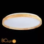 Потолочный светильник Evoluce Delia SLE201382-01 - Фото 6