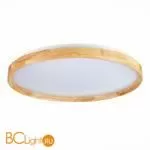 Потолочный светильник Evoluce Delia SLE201382-01 - Фото 2