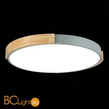 Потолочный светильник Evoluce Delia SLE201372-01 - Фото 4