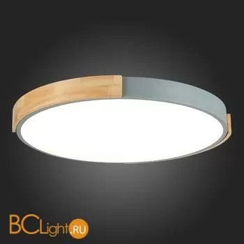 Потолочный светильник Evoluce Delia SLE201372-01