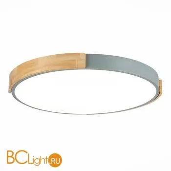 Потолочный светильник Evoluce Delia SLE201372-01 - Фото 0